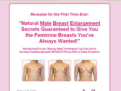 The Flat To Fab Breast Enlargement Program Book 38